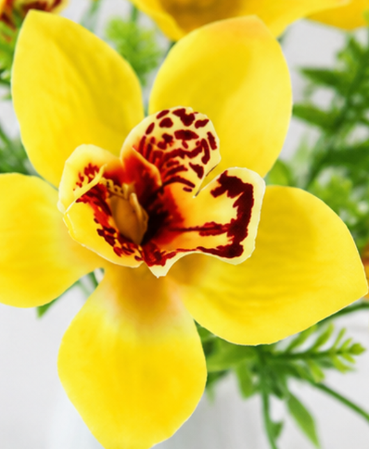 umělá květina, orchidej Cattleya, sada 10 ks, 33x10 cm, plast, žlutá, UK20260025